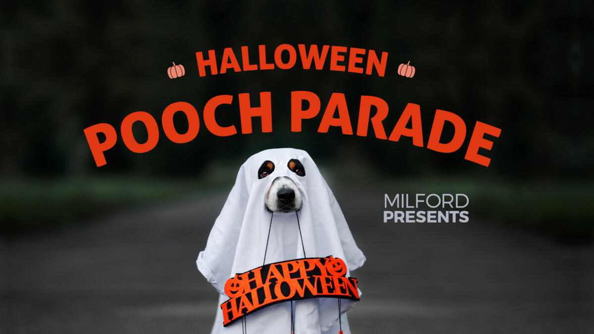 Halloween Pooch Parade Milford Presents